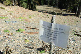 A sign marking the 'compensation' territory for forest trees felled for Laura's construction. (Photo:Nils Bøhmer)