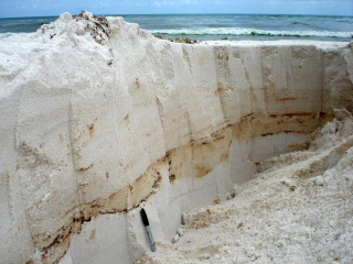Layers of weathered oil near Pensacola, FLorida as studied by Florida State University. (Photo for GoMRI by Markus Huettel, Florida State University)