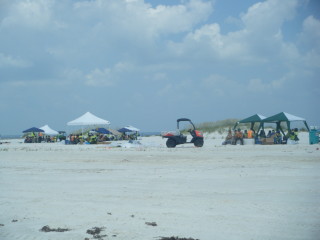 beach cleanup crowd