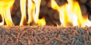 Burning wood pellets. (Photo: Black Isle Renewables)  