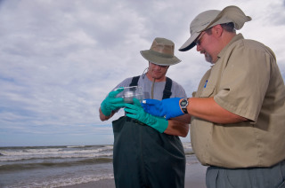 EPA workers collecting oil and water samples at Grand Isle, Lousiana in June, 2010 (Photo: USEPA) 