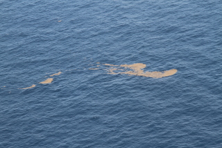 Surface oil off Louisiana's coast, July 2010. (Photo: Jonathan Henderson/Gulf Restoration Network)